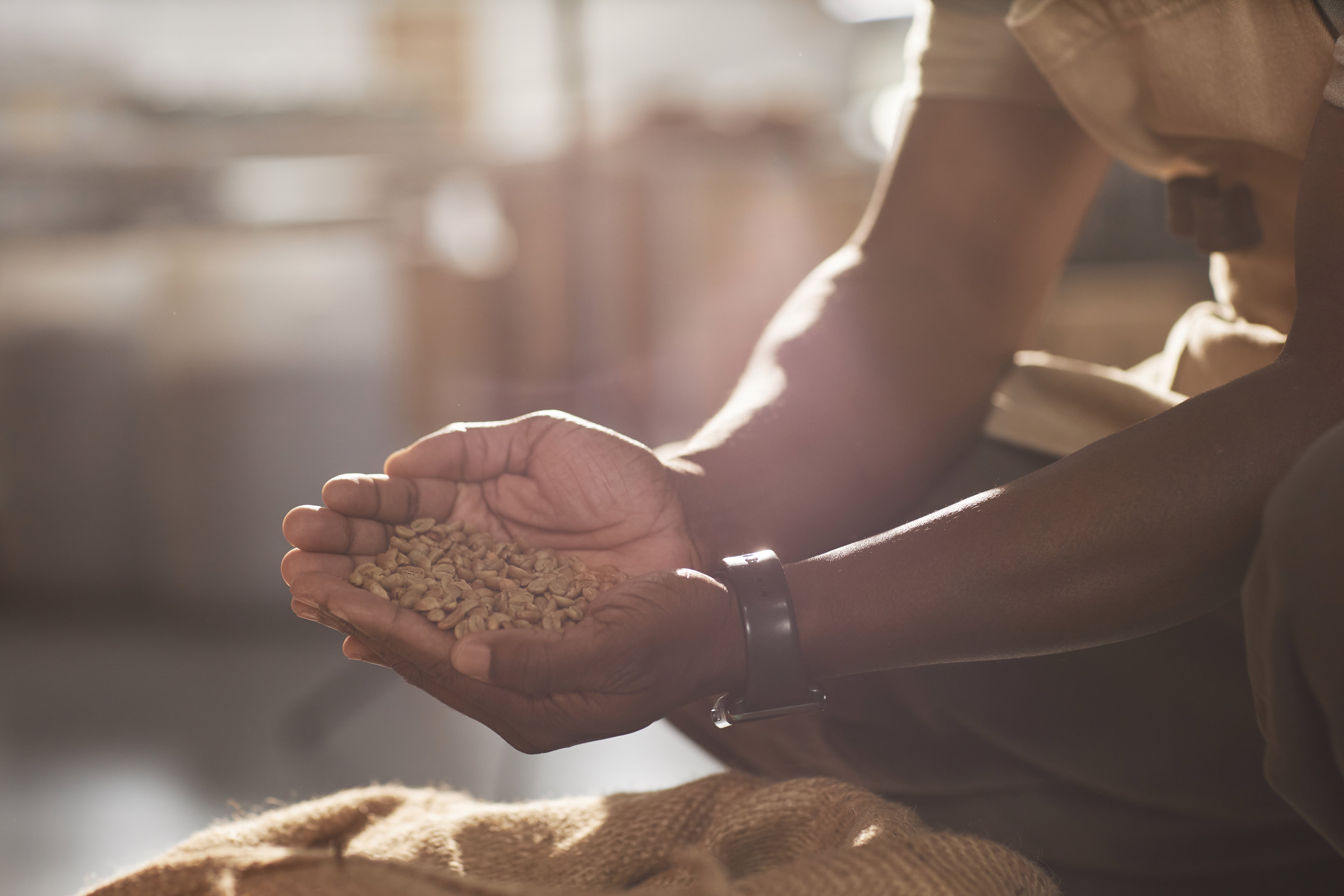 Ethical sourcing ensures coffee growers are incentivized to focus on quality, translating to better beans for roasters and brewers.