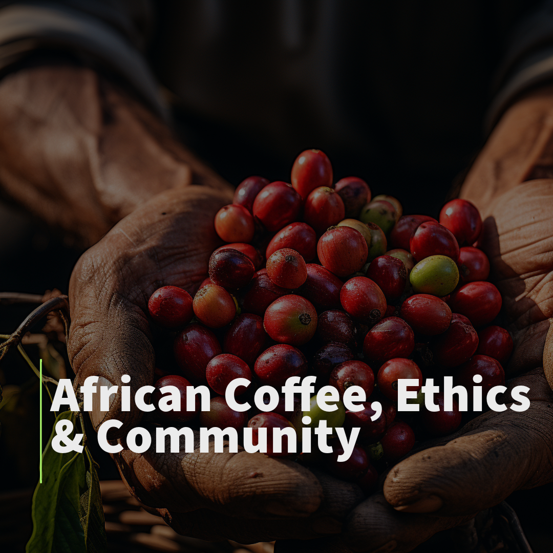 Elevate Your Coffee Business with Noire Coffee Trade